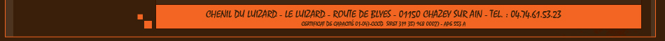 Chenil du Luizard